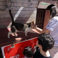 DSC08022